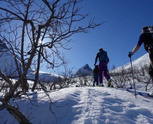 Skitour am Hjorundfjord