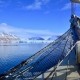 Pure Naturgewalten Spitzbergen