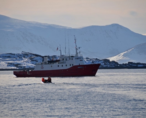 Unsere Polargirl in den Lyngenalpen