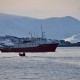 Unsere Polargirl in den Lyngenalpen